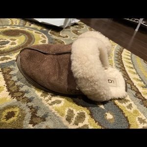 Brown ugg slippers